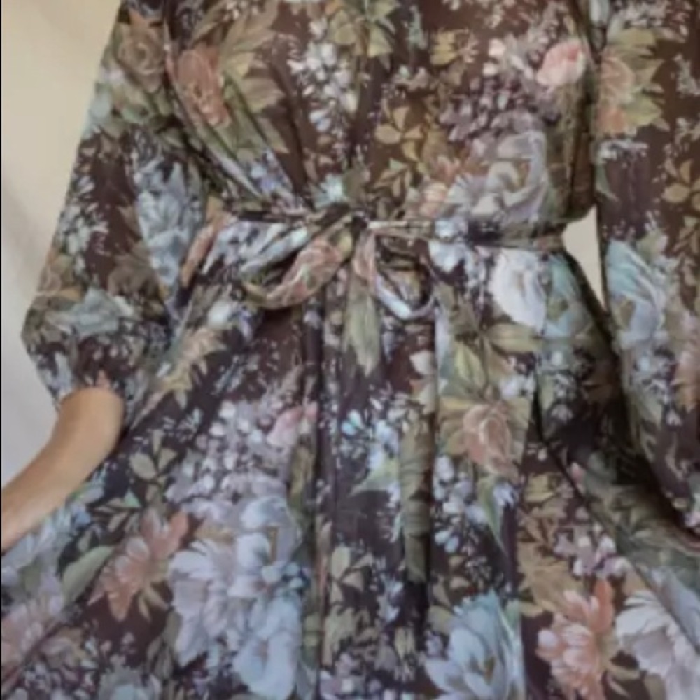 VTG 70s POET Sheer BOHO Dress, Feminine Spring